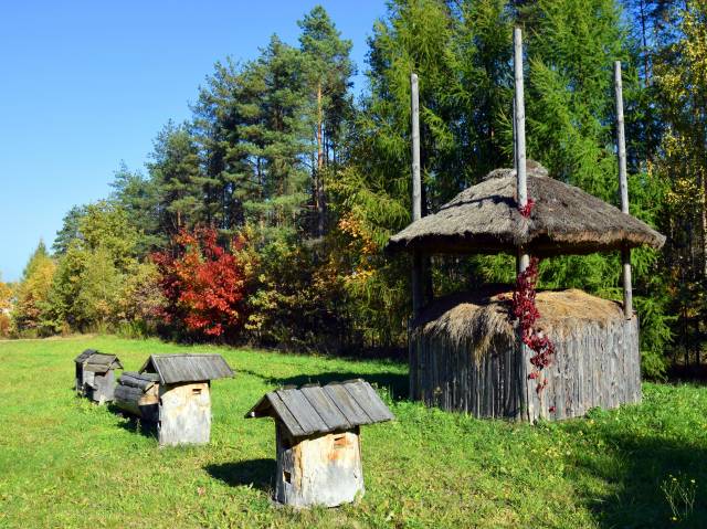 Bróg (rekonstrukcja)